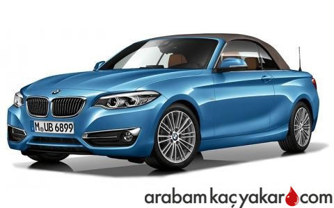 220d Cabrio