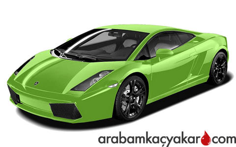 Gallardo