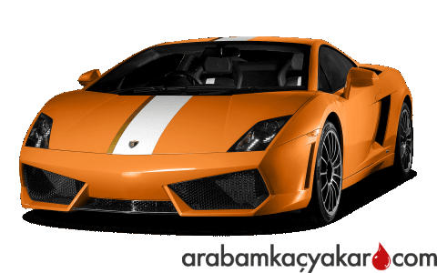 Gallardo