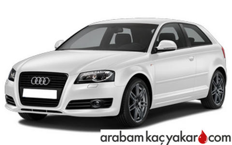A3 8P