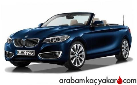 220d Cabrio