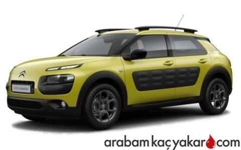 C4 Cactus BlueHDi Stop&Start