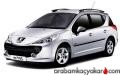 207 SW RC