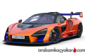 Senna